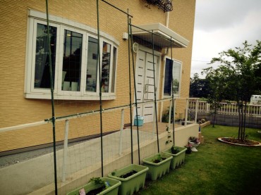 934048_567927596591355_1945697751_n